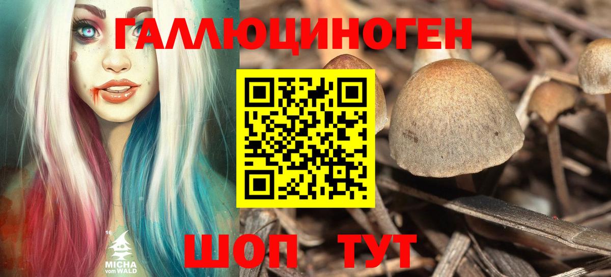 Галлюциногенные грибы ЛСД Амурск
