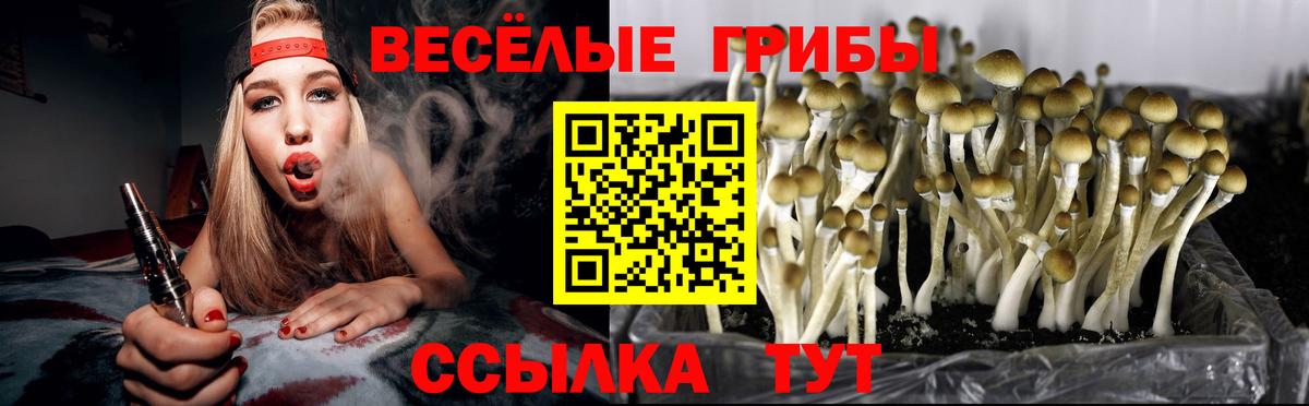 Псилоцибиновые грибы Psilocybe  Вход с VPN  Амурск 