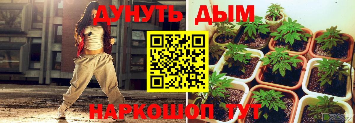 Марихуана семена  Конопля ГИДРОПОН  Вход с VPN  МАРИХУАНА Ganja  Амурск  МАРИХУАНА White Widow 